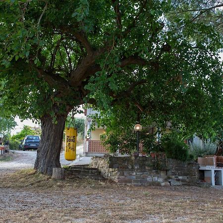 Casa Vacanze Diamante Ogliastro Cilento Luaran gambar