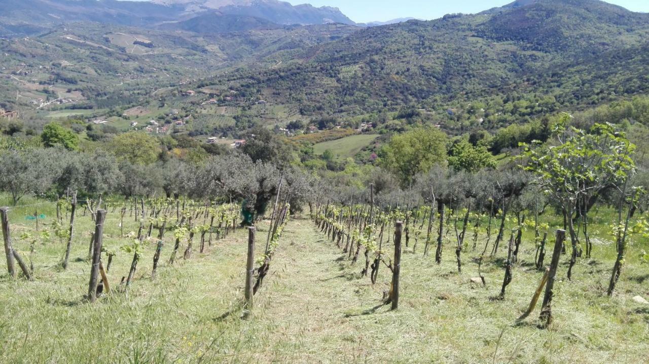Casa Vacanze Diamante Ogliastro Cilento Luaran gambar