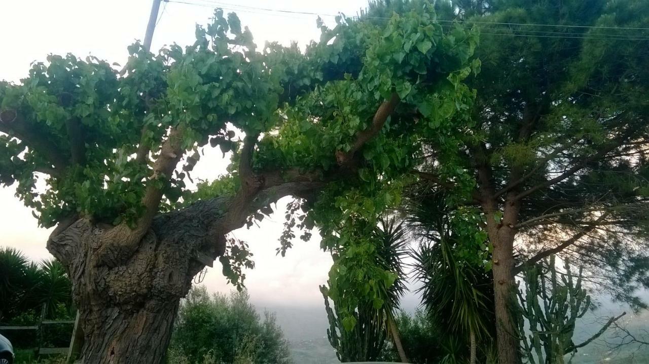 Casa Vacanze Diamante Ogliastro Cilento Luaran gambar