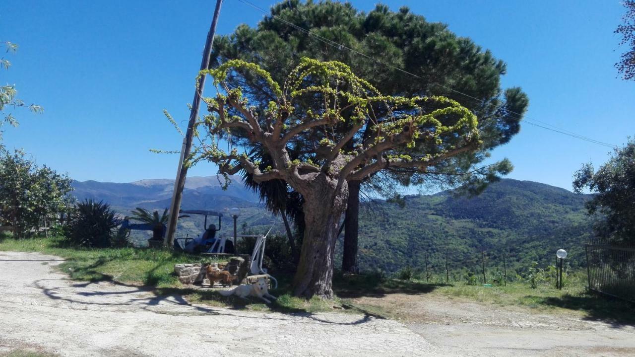 Casa Vacanze Diamante Ogliastro Cilento Luaran gambar